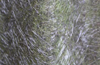 Kendram fibreglass roof work